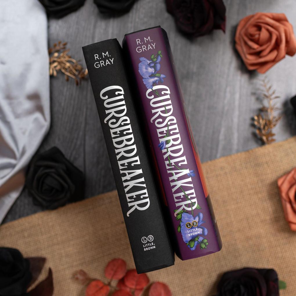 Weitere Ansicht: Cursebreaker (Standard Edition) | R. M. Gray