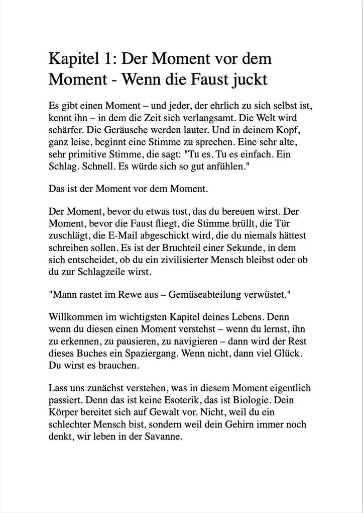 Weitere Ansicht: ZEN UND DIE KUNST, DEN LEUTEN NICHT AUF DIE SCHNAUZE ZU HAUEN | Maximilian Ruhe