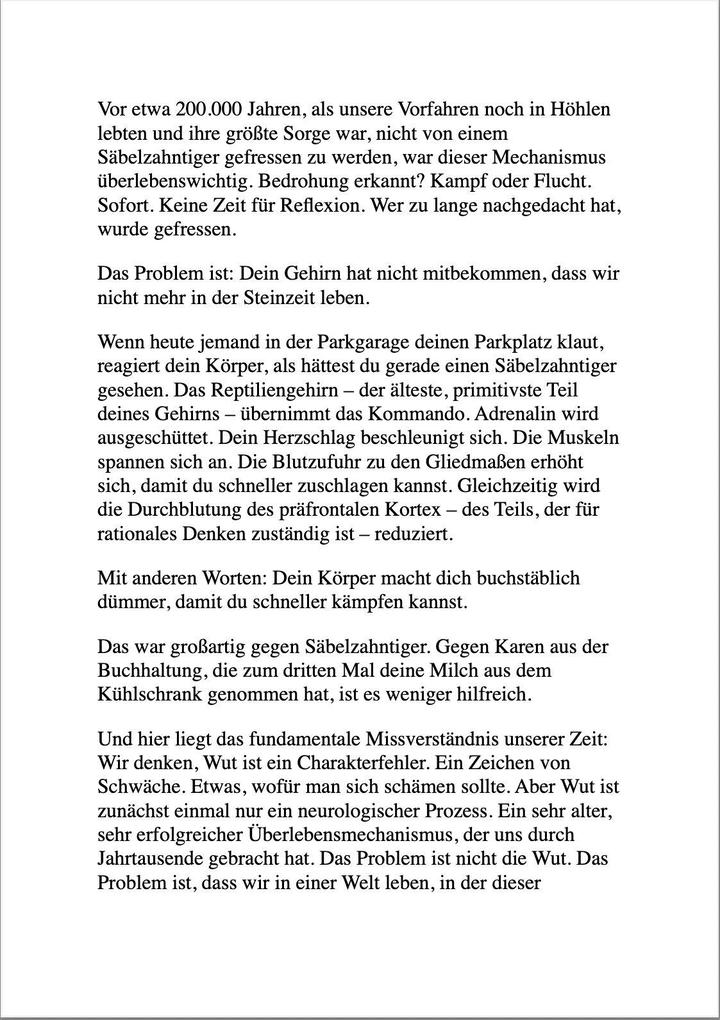 Weitere Ansicht: ZEN UND DIE KUNST, DEN LEUTEN NICHT AUF DIE SCHNAUZE ZU HAUEN | Maximilian Ruhe