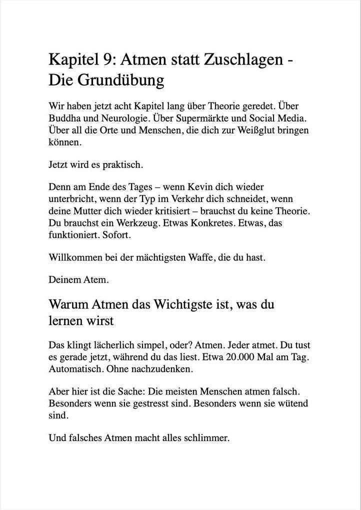 Weitere Ansicht: ZEN UND DIE KUNST, DEN LEUTEN NICHT AUF DIE SCHNAUZE ZU HAUEN | Maximilian Ruhe