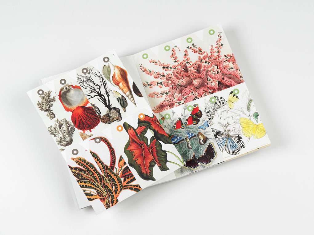 Weitere Ansicht: Natural History | Pepin van Roojen