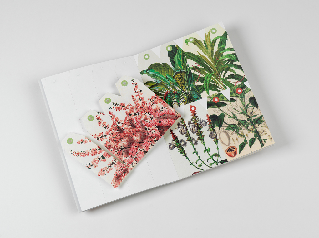 Weitere Ansicht: Natural History | Pepin van Roojen