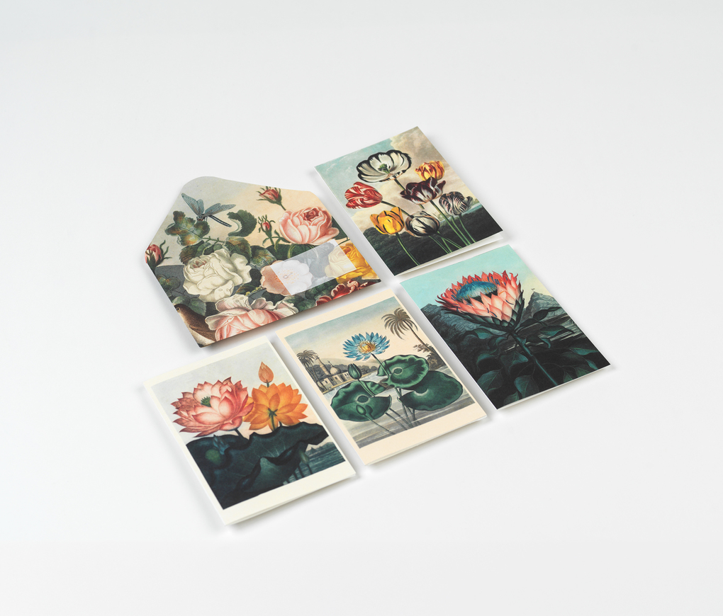 Weitere Ansicht: Flowers | Pepin van Roojen