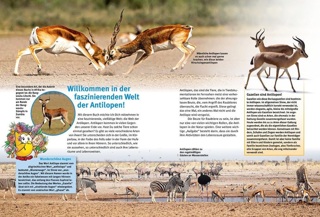Weitere Ansicht: Entdecke die Antilopen | Vera Rduch