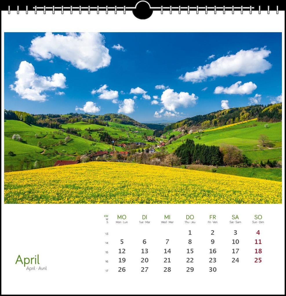 Weitere Ansicht: Schwarzwald 2027