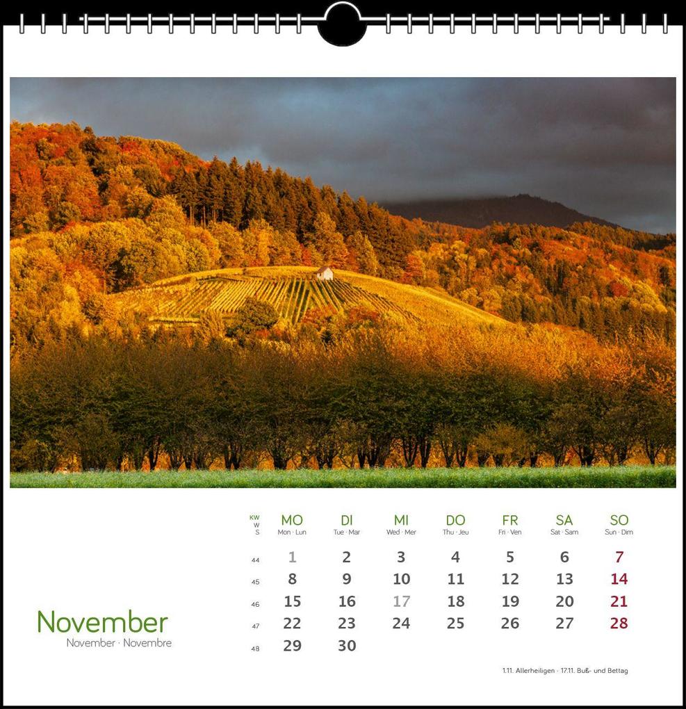 Weitere Ansicht: Schwarzwald 2027