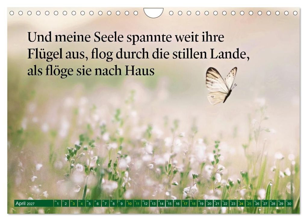 Weitere Ansicht: Trost - in stillen Momenten (Wandkalender 2027 DIN A4 quer), CALVENDO Monatskalender | Calvendo, Susan Michel