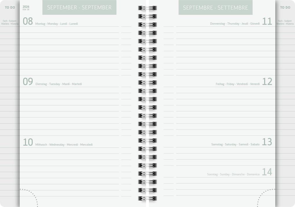 Weitere Ansicht: Schülerkalender 2026/2027 "Hearts" | A5, Kunststoff
