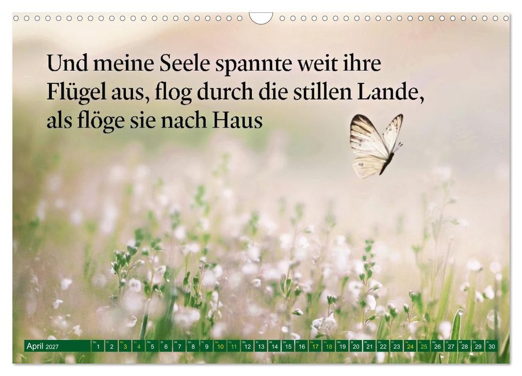 Weitere Ansicht: Trost - in stillen Momenten (Wandkalender 2027 DIN A3 quer), CALVENDO Monatskalender | Calvendo, Susan Michel