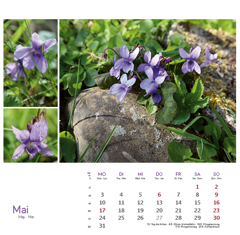 Weitere Ansicht: Heilpfanzen rund um den Bodensee 2027