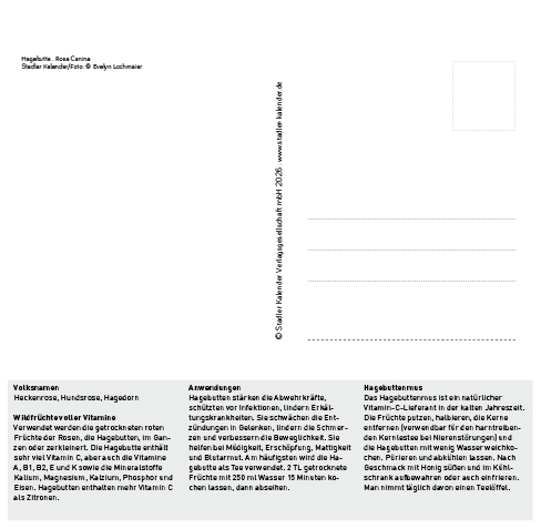 Weitere Ansicht: Heilpfanzen rund um den Bodensee 2027