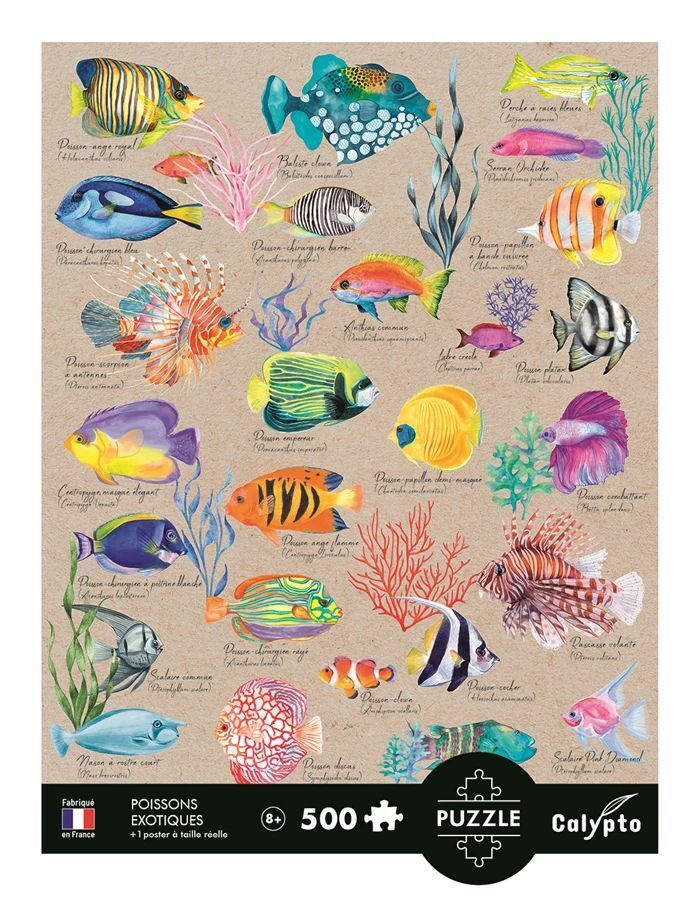 Weitere Ansicht: CALYPTO - Exotische Fische 500 Teile
