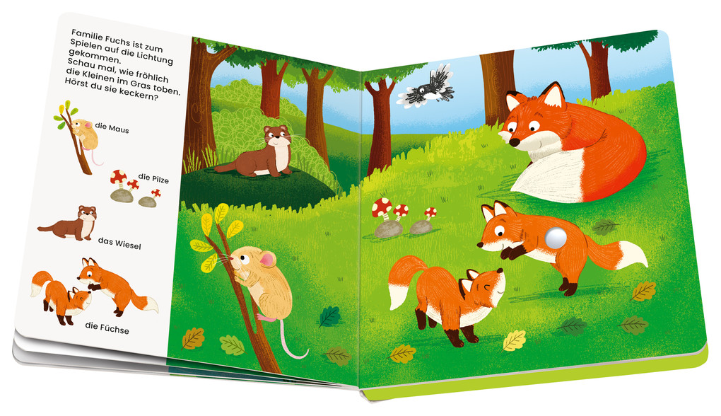 Weitere Ansicht: Play+ Mein allererstes Soundbuch Tiere im Wald - ab 12 Monate | Maria Höck