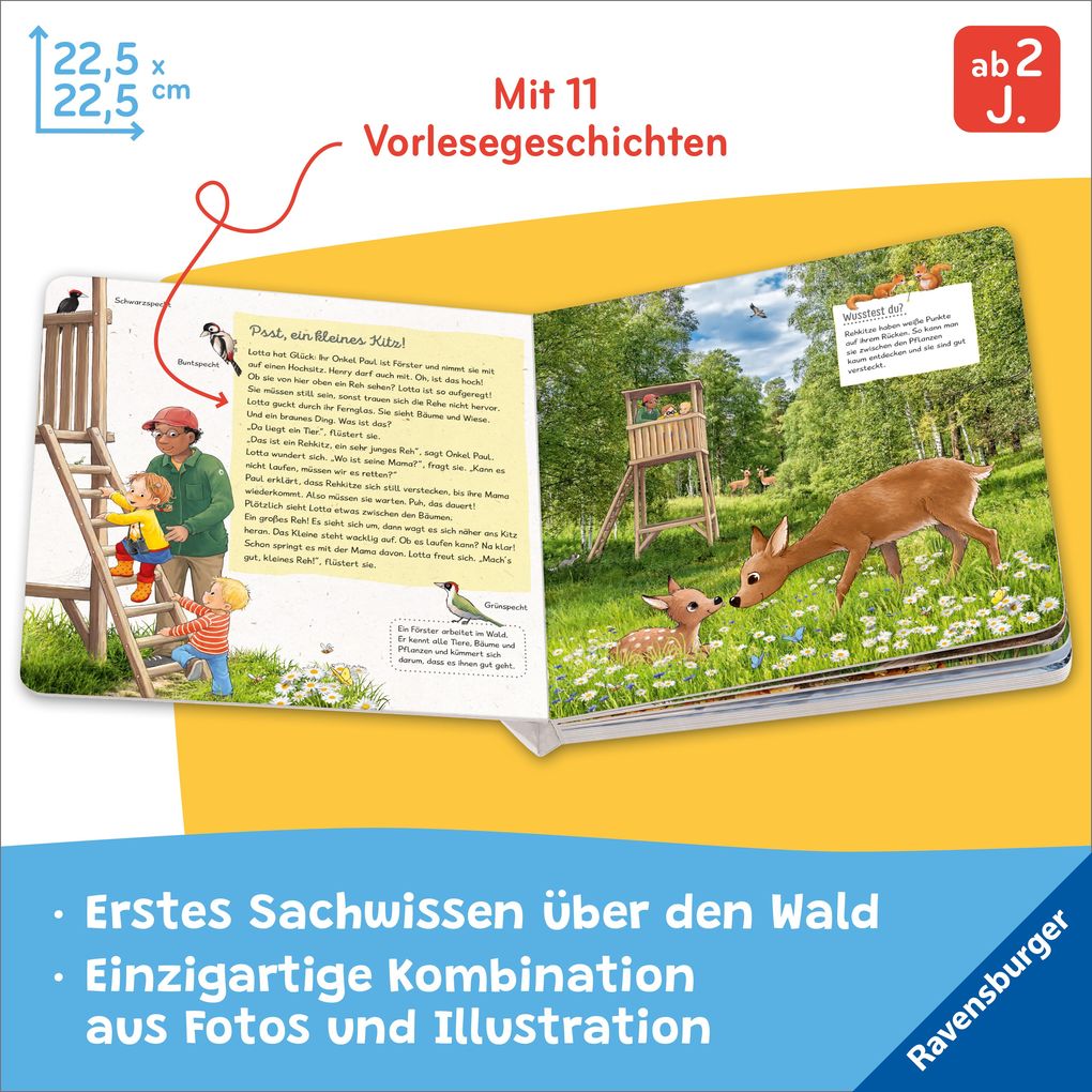 Weitere Ansicht: Lotta liebt den Wald | Sandra Grimm