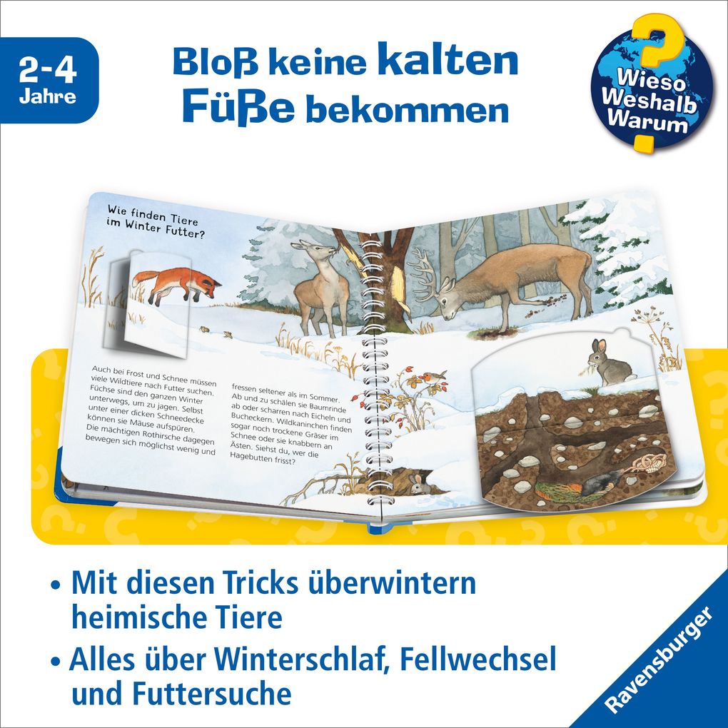 Weitere Ansicht: Wieso? Weshalb? Warum? junior, Band 31 - Tiere im Winter | Andrea Erne