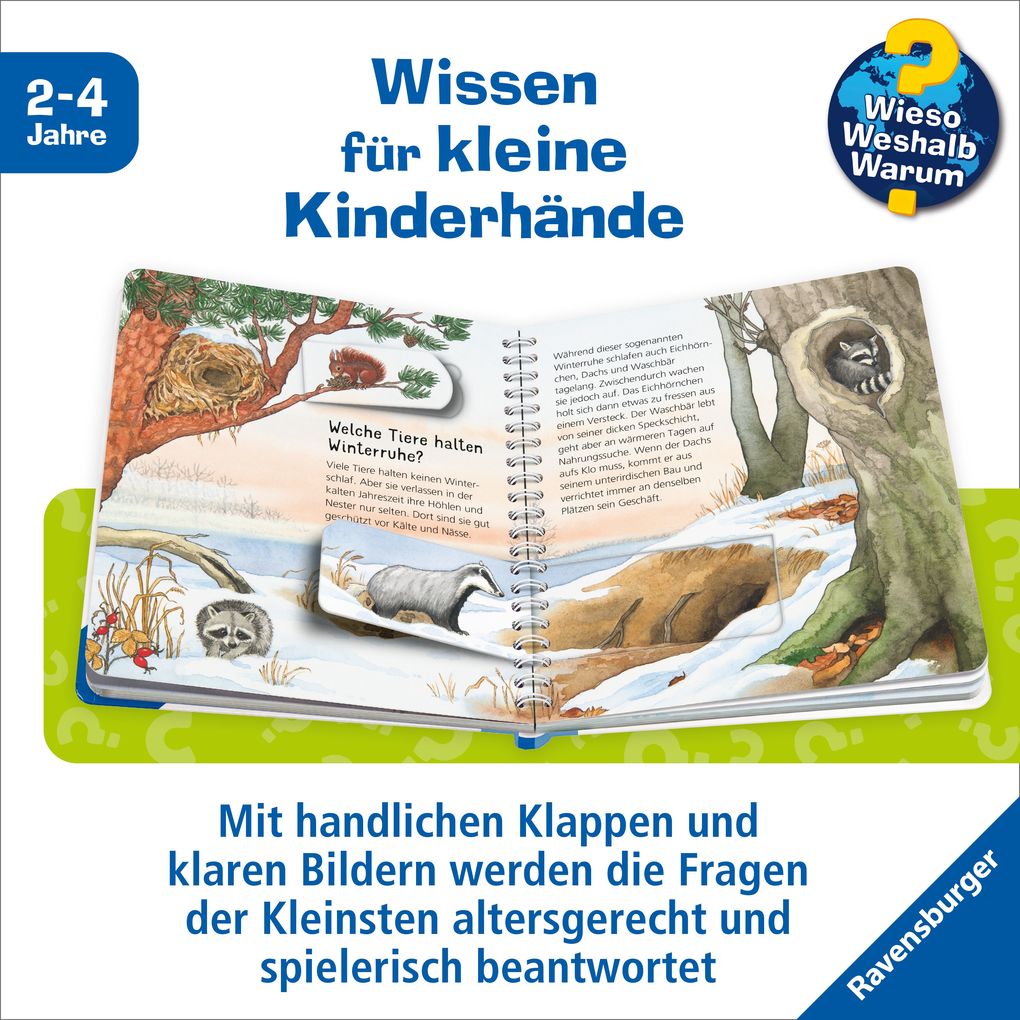 Weitere Ansicht: Wieso? Weshalb? Warum? junior, Band 31 - Tiere im Winter | Andrea Erne