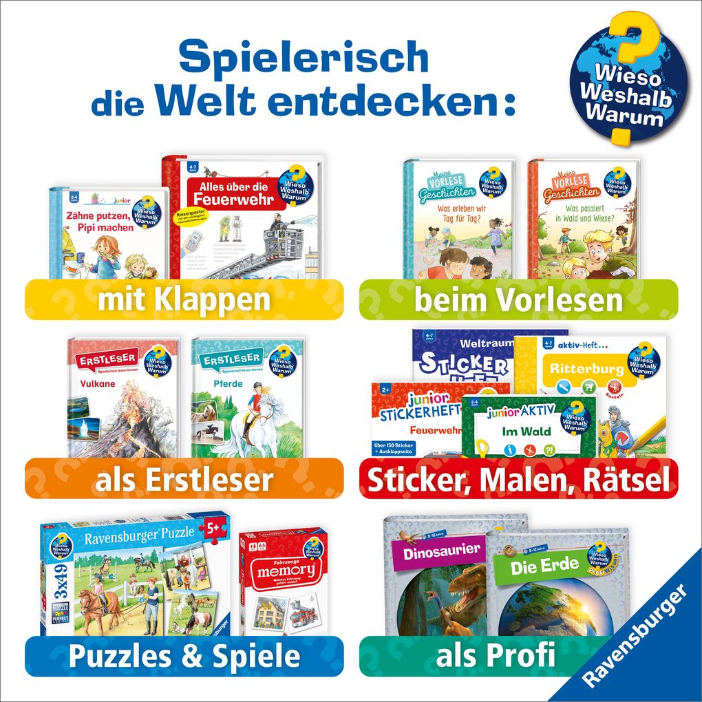 Weitere Ansicht: Wieso? Weshalb? Warum? junior, Band 31 - Tiere im Winter | Andrea Erne