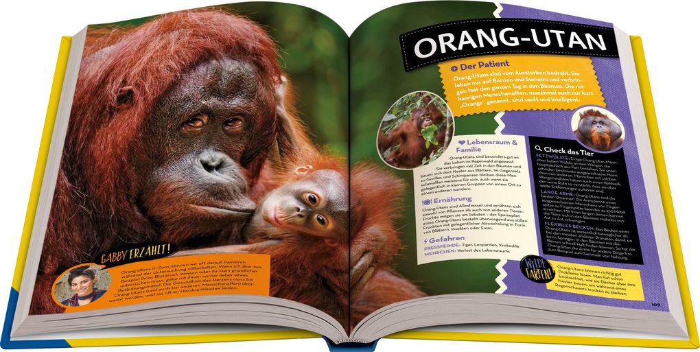 Weitere Ansicht: National Geographic Kids - Abenteuer einer Wildtierärztin | Gabby Wild