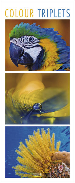 Produktbild: Colour Triplets 2027