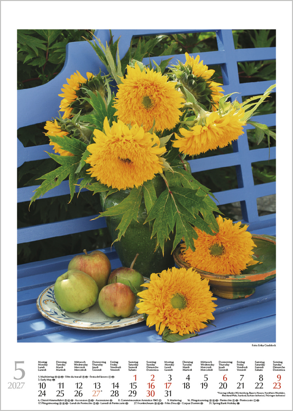 Weitere Ansicht: Blumenträume 2027