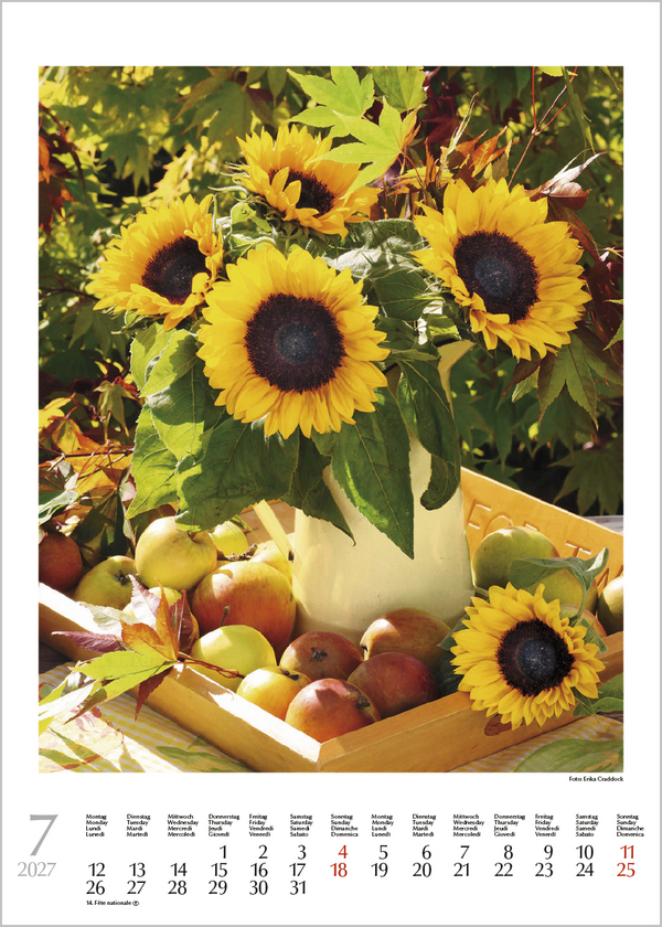 Weitere Ansicht: Blumenträume 2027