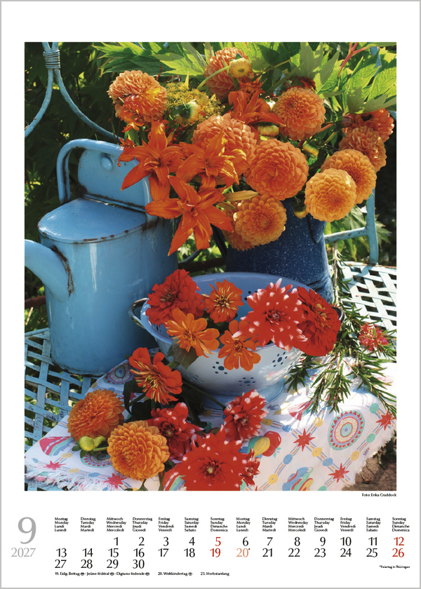 Weitere Ansicht: Blumenträume 2027