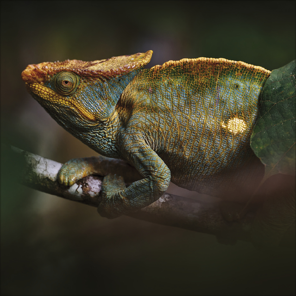 Weitere Ansicht: Moments in Nature 2027
