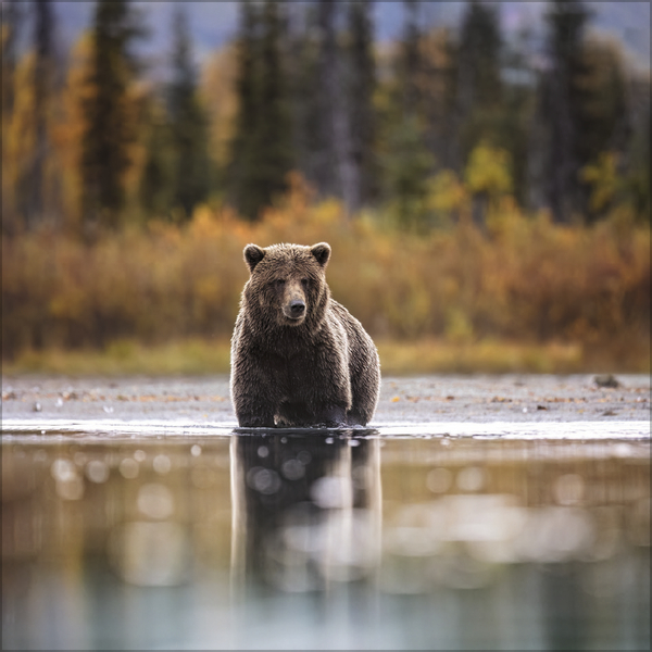 Weitere Ansicht: Moments in Nature 2027