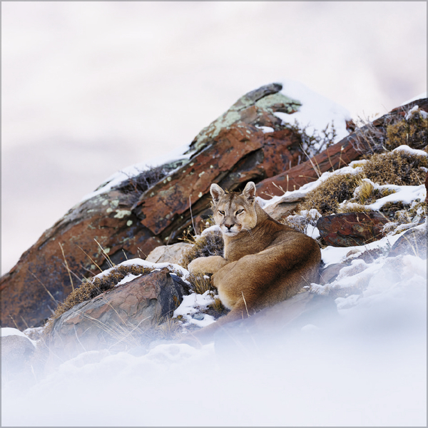 Weitere Ansicht: Moments in Nature 2027