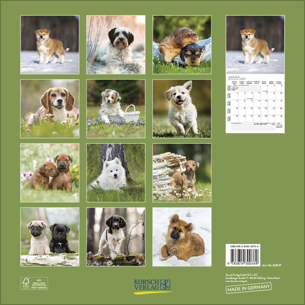 Weitere Ansicht: Dogs 2027