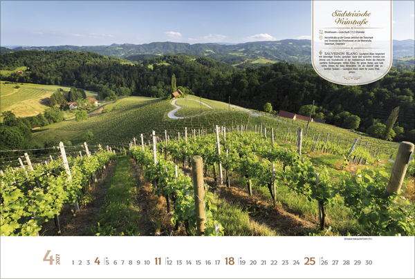 Weitere Ansicht: Weinstraßen Europas 2027