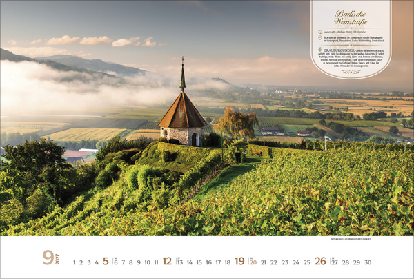 Weitere Ansicht: Weinstraßen Europas 2027