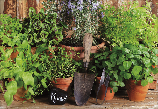 Weitere Ansicht: Kräuter und Gewürze 2027