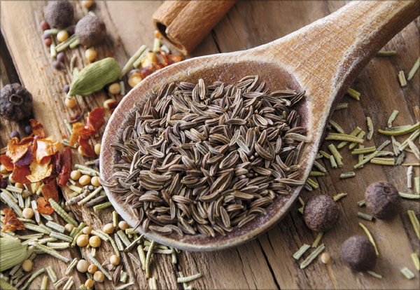 Weitere Ansicht: Kräuter und Gewürze 2027