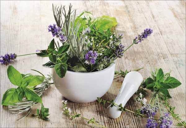 Weitere Ansicht: Kräuter und Gewürze 2027