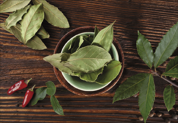 Weitere Ansicht: Kräuter und Gewürze 2027