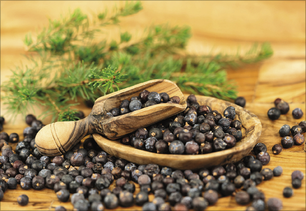 Weitere Ansicht: Kräuter und Gewürze 2027