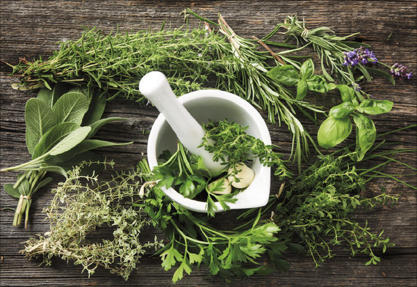 Weitere Ansicht: Kräuter und Gewürze 2027