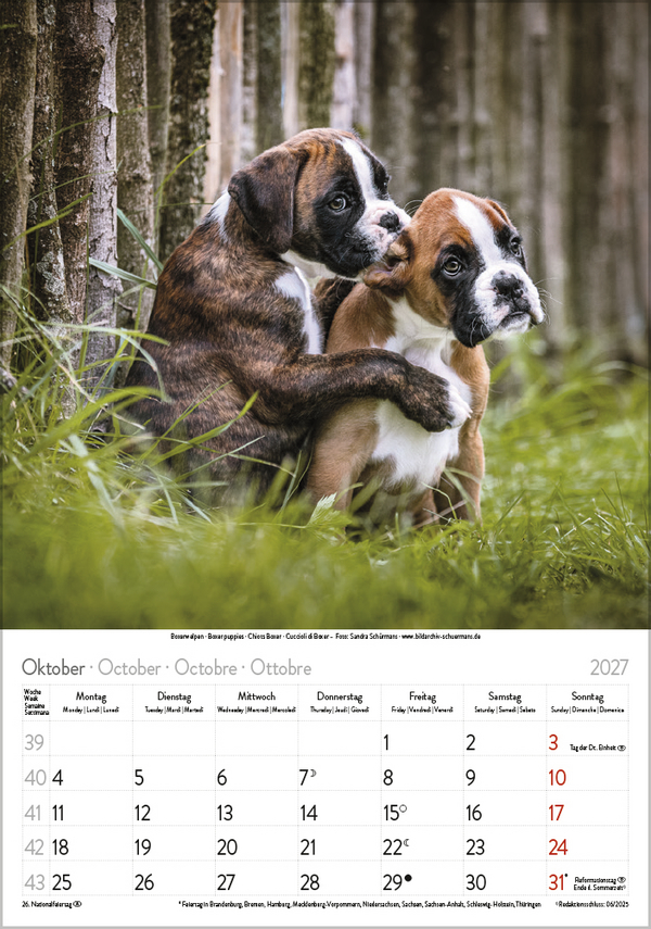 Weitere Ansicht: Hunde 2027