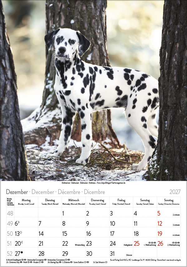 Weitere Ansicht: Hunde 2027