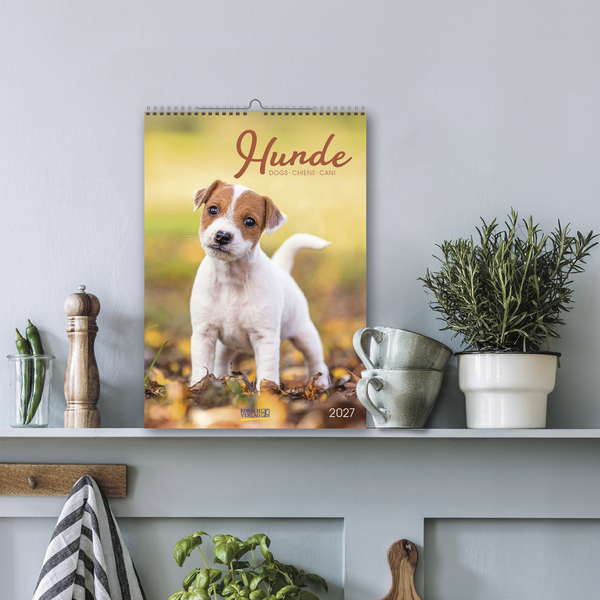 Weitere Ansicht: Hunde 2027