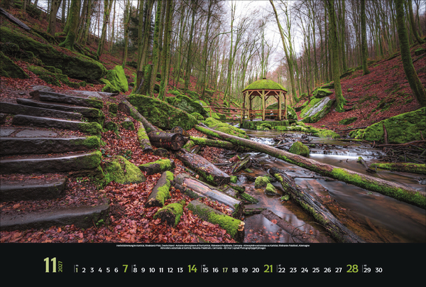 Weitere Ansicht: Colourful Seasons 2027