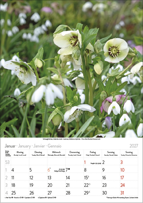 Weitere Ansicht: Blütenzauber 2027