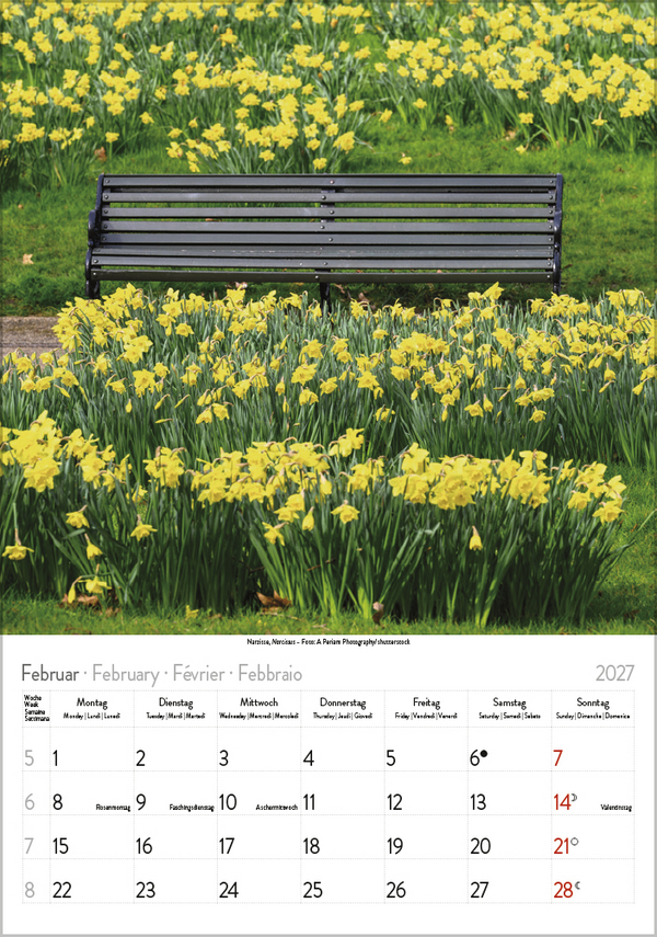 Weitere Ansicht: Blütenzauber 2027