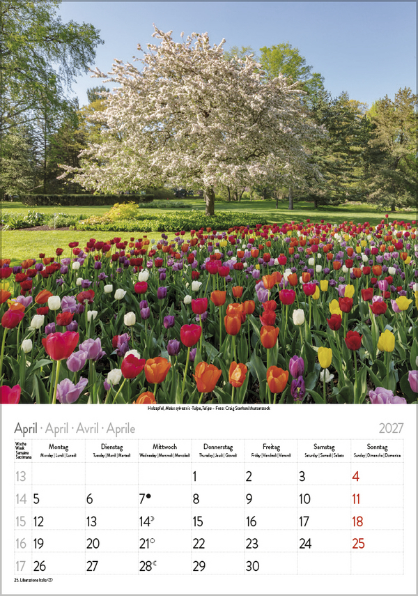 Weitere Ansicht: Blütenzauber 2027