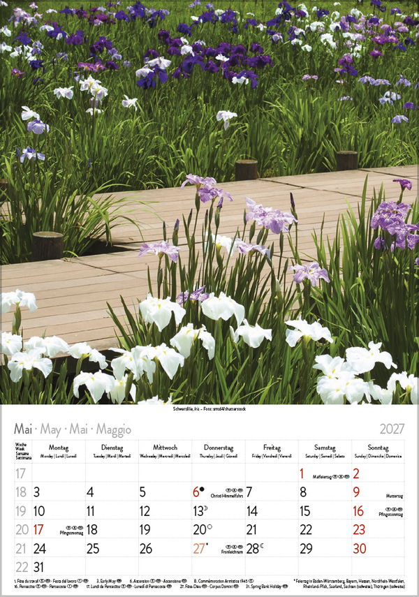 Weitere Ansicht: Blütenzauber 2027