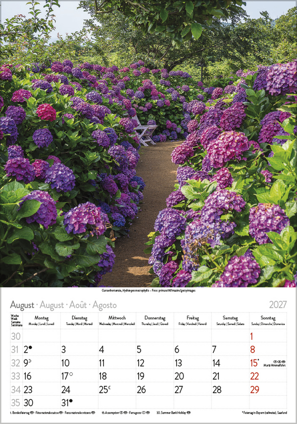 Weitere Ansicht: Blütenzauber 2027