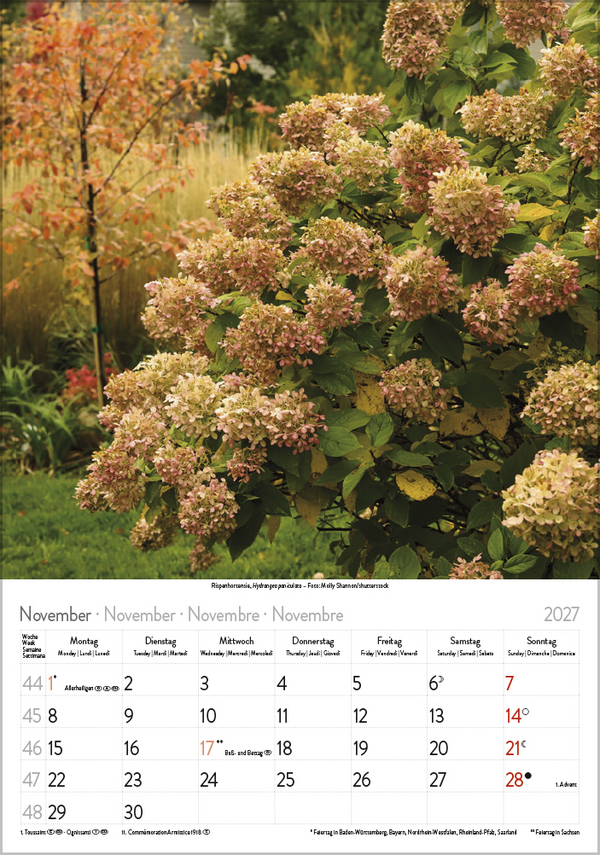 Weitere Ansicht: Blütenzauber 2027