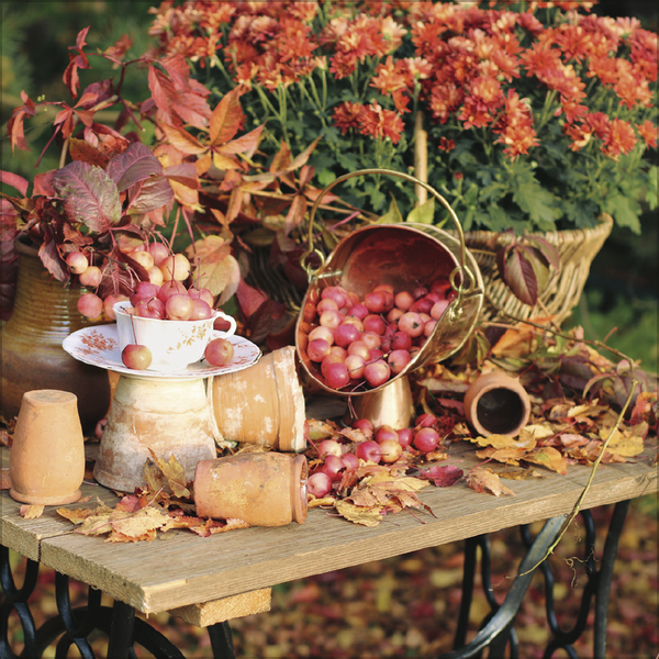 Weitere Ansicht: Land & Lust 2027