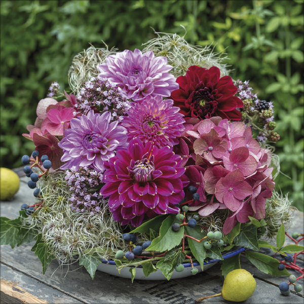 Weitere Ansicht: Land & Lust 2027